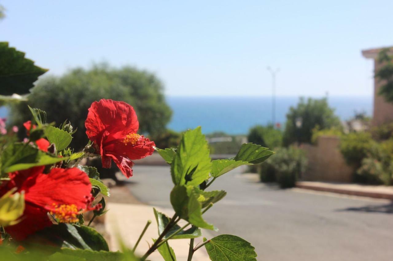 Kings Palace Indigo 109 Paphos 外观 照片