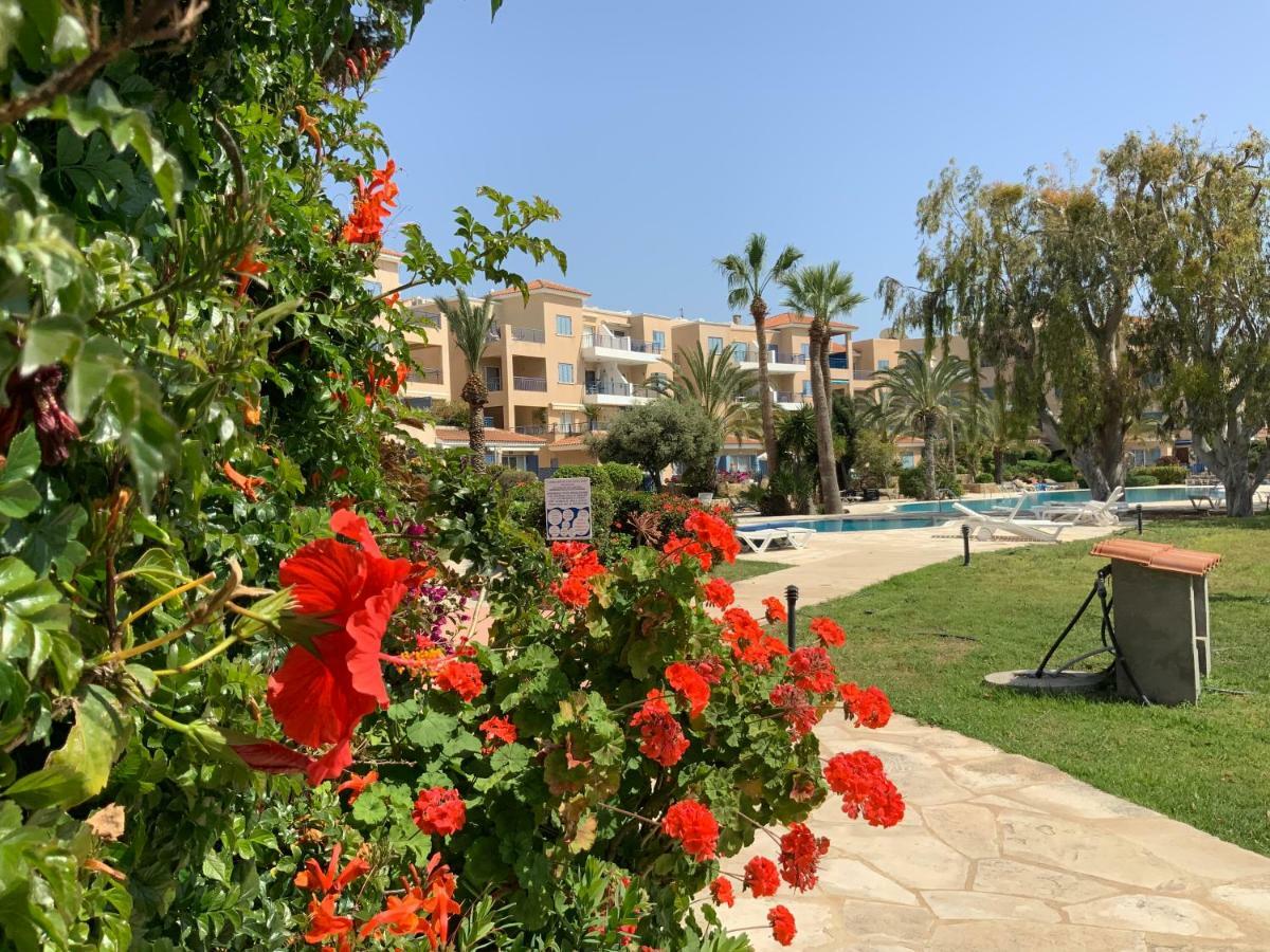 Kings Palace Indigo 109 Paphos 外观 照片