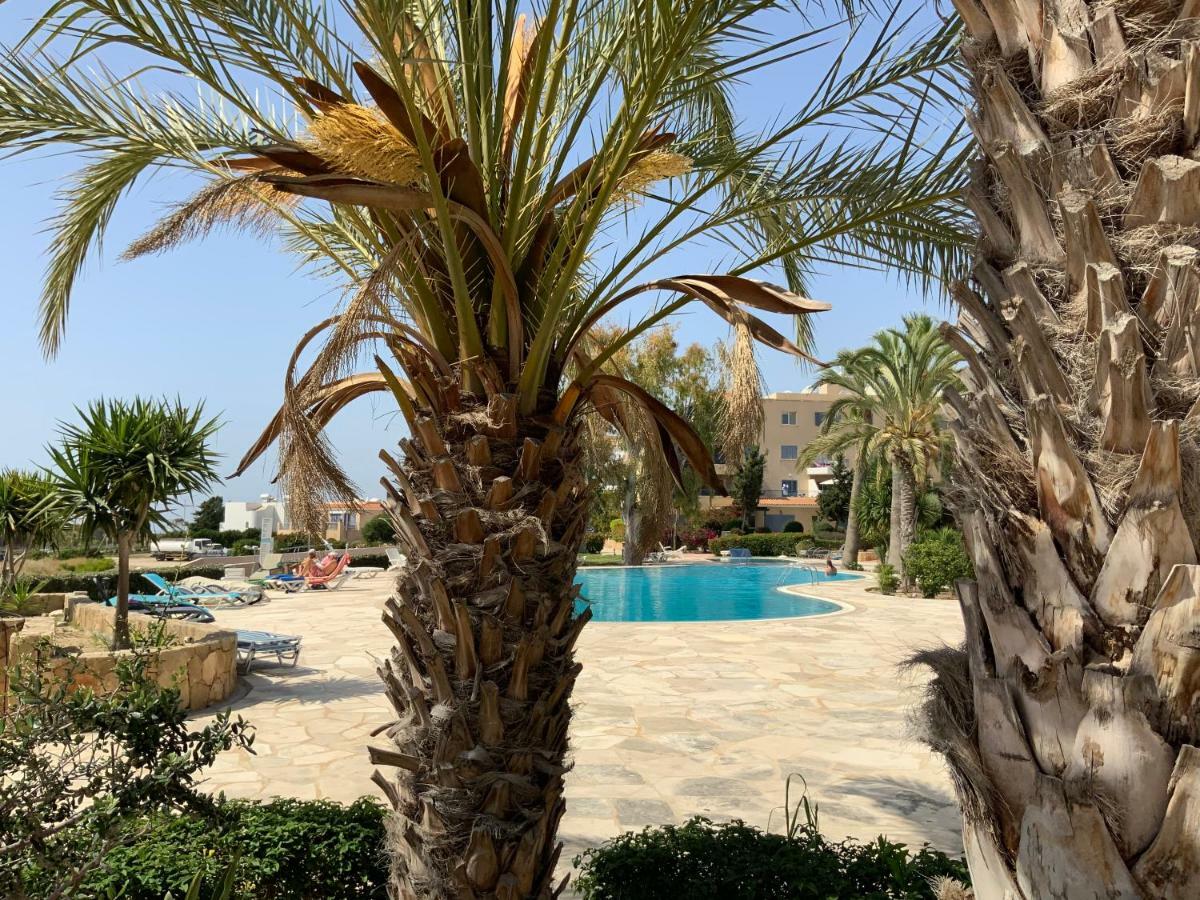 Kings Palace Indigo 109 Paphos 外观 照片